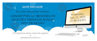 ADSORPTION OF DIOXINES ON ZEOLITES THROUGH RAMAN SPECTROSCOPY